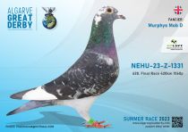 NEHU 23 Z1331